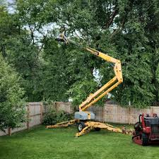 Best Commercial Tree Services  in Lake Cherokee, TX