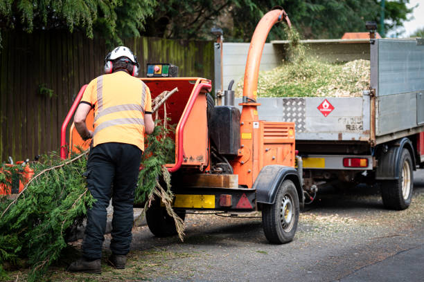 Best Lawn Watering Services  in Lake Cherokee, TX